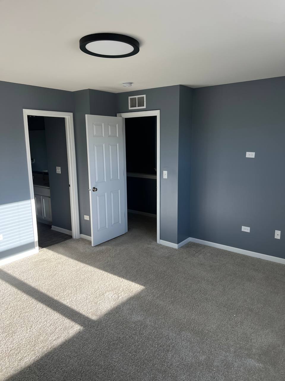 Wall, Ceiling & Trim Painting